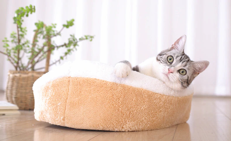 Clam Shell Pet Bed for Cats